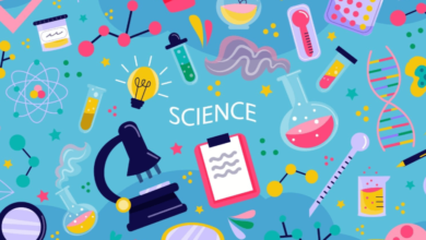 Fundamental Ideas: Nzqx6jizoys= Science