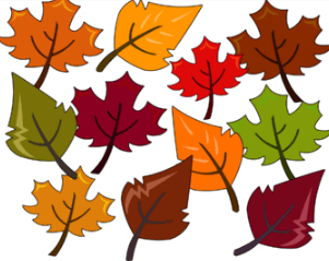 Clipart:5oesxuispmg= Outline:6qgtqhyhayk= Leaf