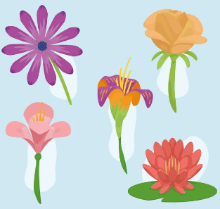 Clipart:5ftz0amu-Rq= Flower