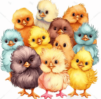 Clipart:4ipe4a1gu68= Chicks