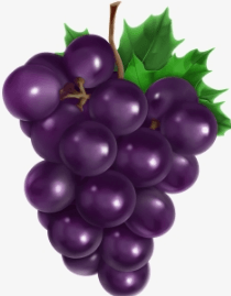 Clipart:6v7veumjy6m= Grapes