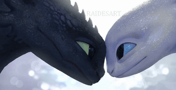 Cute:4lrgxcvjhdk= Toothless and Light Fury