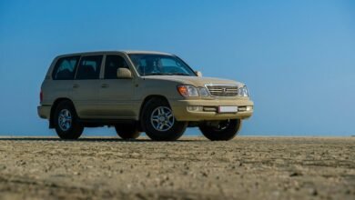 stable online model 912710413